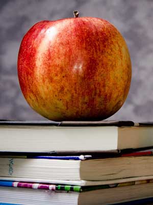 无限循环呼叫手机号软件